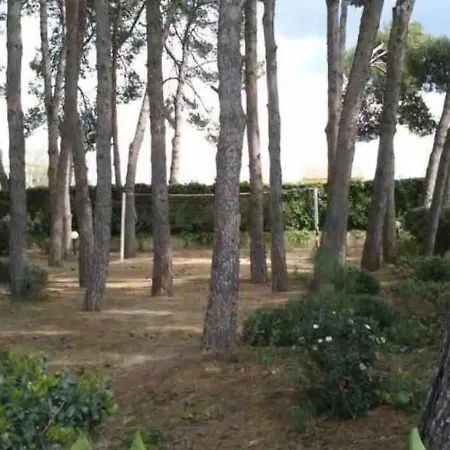 Samitier Апартаменты